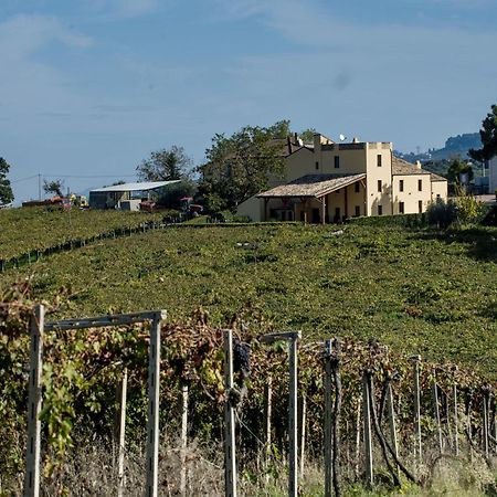 Masseria Del Vino Villa Loreto Aprutino Exterior photo