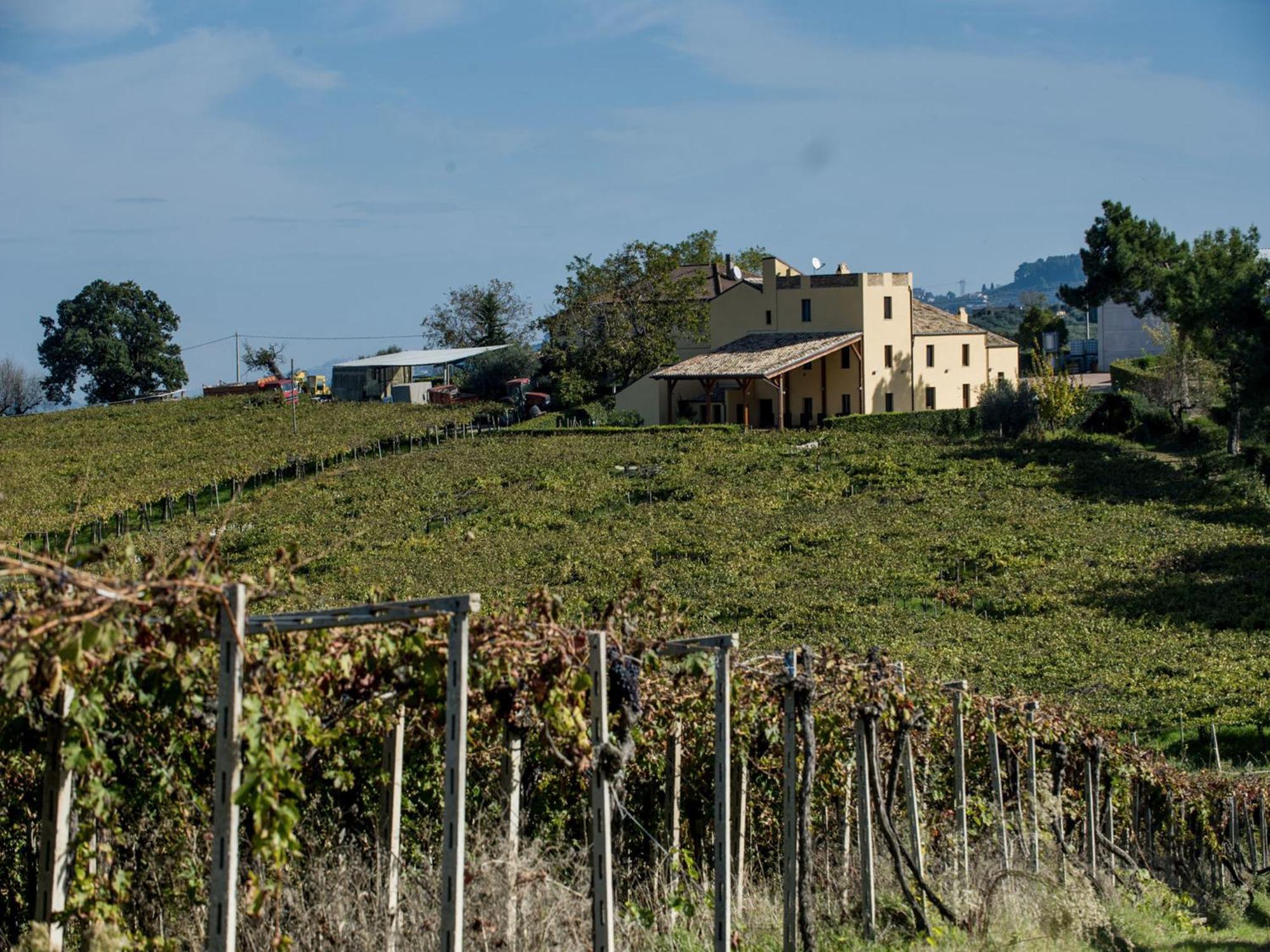 Masseria Del Vino Villa Loreto Aprutino Exterior photo