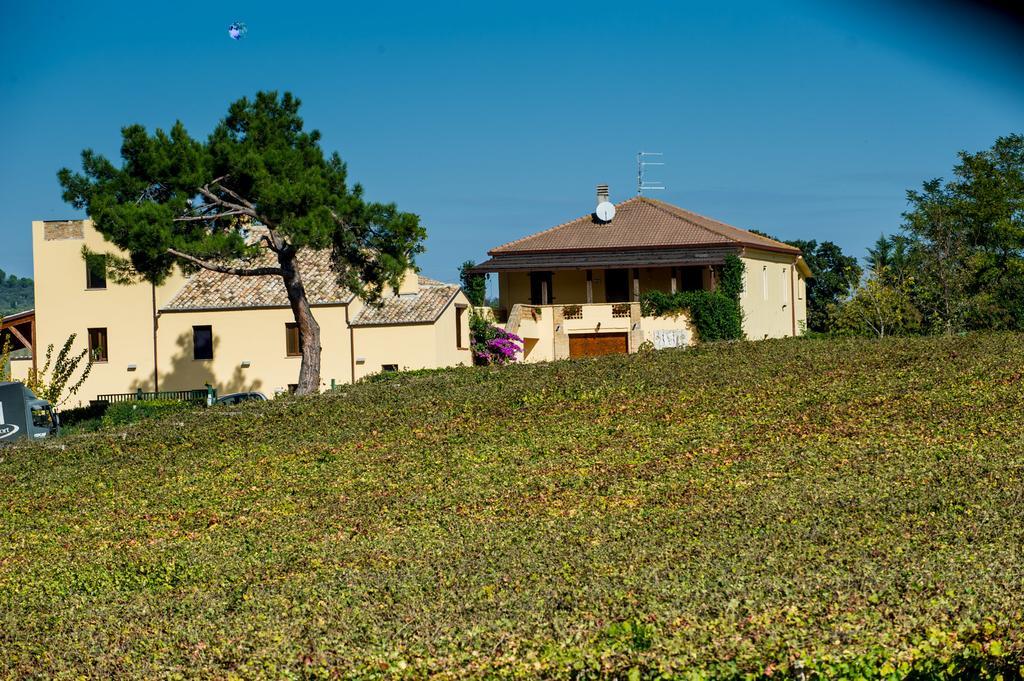 Masseria Del Vino Villa Loreto Aprutino Exterior photo