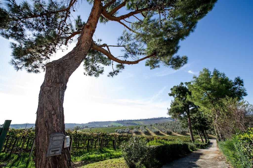 Masseria Del Vino Villa Loreto Aprutino Exterior photo