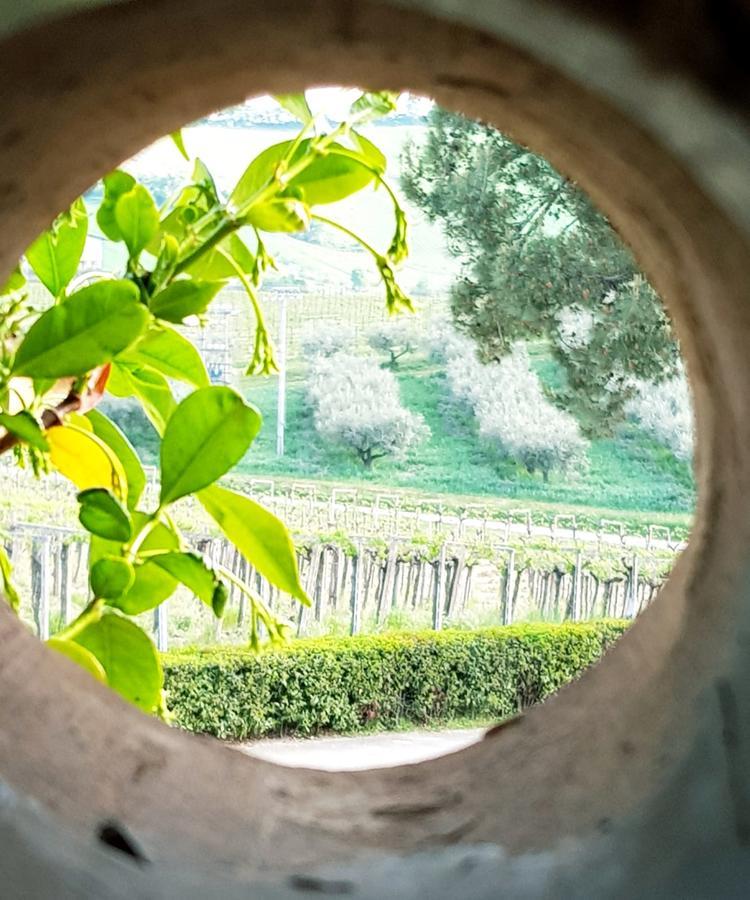 Masseria Del Vino Villa Loreto Aprutino Exterior photo